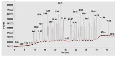 ��ʨ�����(�й�)���޹�˾-Official website