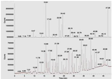 ��ʨ�����(�й�)���޹�˾-Official website