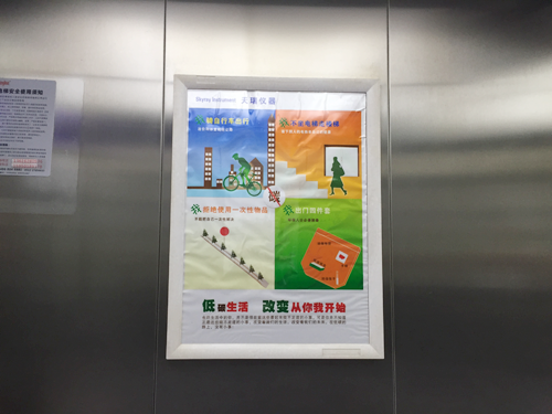 ��ʨ�����(�й�)���޹�˾-Official website