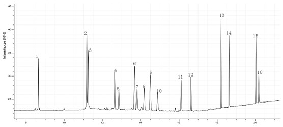 ��ʨ�����(�й�)���޹�˾-Official website