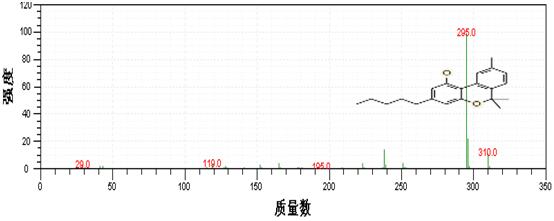 ��ʨ�����(�й�)���޹�˾-Official website