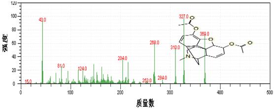 ��ʨ�����(�й�)���޹�˾-Official website