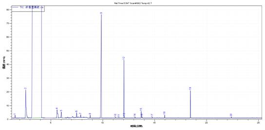 ��ʨ�����(�й�)���޹�˾-Official website