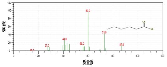 ��ʨ�����(�й�)���޹�˾-Official website