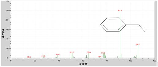 ��ʨ�����(�й�)���޹�˾-Official website