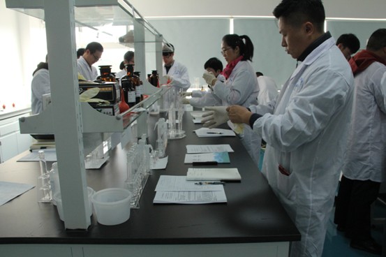 ��ʨ�����(�й�)���޹�˾-Official website