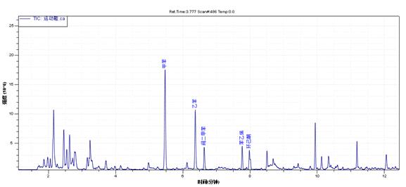 ��ʨ�����(�й�)���޹�˾-Official website