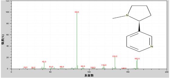 ��ʨ�����(�й�)���޹�˾-Official website