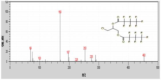 ��ʨ�����(�й�)���޹�˾-Official website