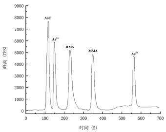 ��ʨ�����(�й�)���޹�˾-Official website