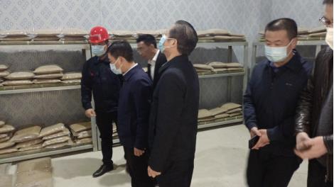 ��ʨ�����(�й�)���޹�˾-Official website