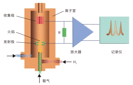 ��ʨ�����(�й�)���޹�˾-Official website