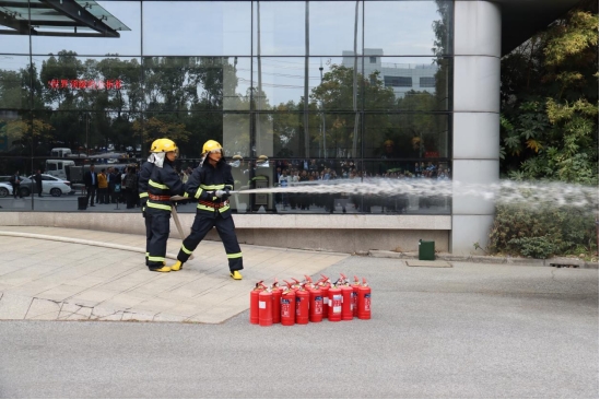 ��ʨ�����(�й�)���޹�˾-Official website