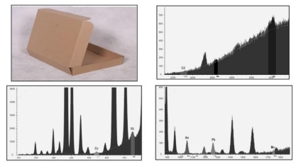 ��ʨ�����(�й�)���޹�˾-Official website