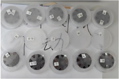 ��ʨ�����(�й�)���޹�˾-Official website