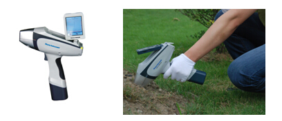 ��ʨ�����(�й�)���޹�˾-Official website